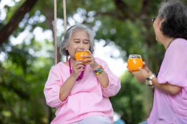 Two Elderly Women Enjoying Fresh Orange Juice on a Swing in a Lush Green Garden, Laughing and Sharing a Joyful Moment Together on a Sunny Day clipart