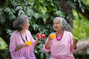 Açık havada Taze Meyve ve Portakal Suyu İçen İki Yaşlı Kadın, Bereketli Yeşilliğin Ortasında Neşeli ve Sağlıklı Bir Anda Kahkaha ve Arkadaşlığı Paylaşan