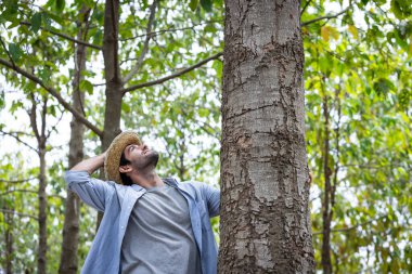Orman Çiftliğinde Ağaç Yetiştirme, Ağaç Sağlığı ve Çevresel Sürdürülebilirliği Değerlendirme