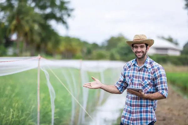 stock image Young Farmer Crouching in a Lush Green Field, Holding a Tablet and Smiling, Symbolizing the Integration of Digital Technology in Modern Agriculture for Improved Crop Management and Sustainability