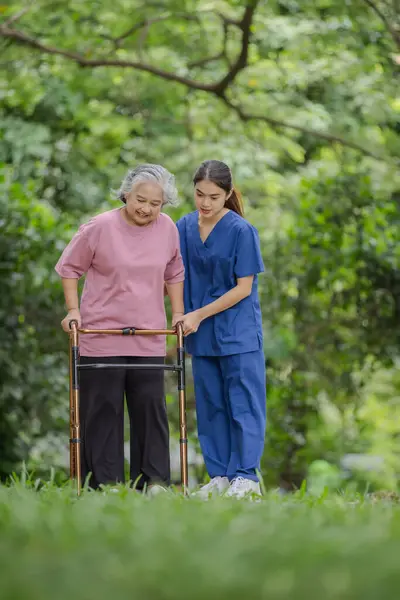 stock image Elderly woman with walker carefully assisted by young nurse in a lush green park setting