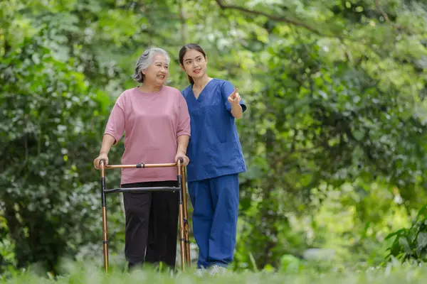 stock image  Elderly woman with walker receives guidance from young nurse in a serene park environment.