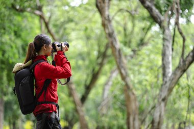 Kırmızı ceketli fotoğrafçı, sakin bir açık hava gezisi sırasında yemyeşil bir ormanın doğal güzelliğini yakalamaya odaklanmış..
