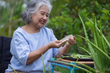 Gülümseyen Yaşlı Kadın Taze Aloe Vera Jel: Doğal Cilt Bakımı, İyileşme ve Bahçedeki Sağlıklı Yaşam