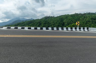 Ormanlı asfalt yolun yan görüntüsü