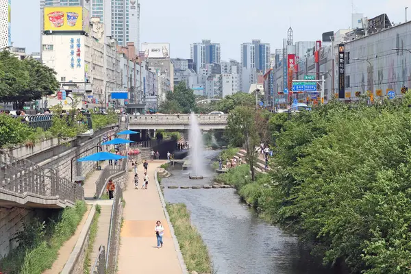 Seul, Güney Kore - Haziran 05.2023: Bu devasa şehirde Cheonggyecheon-ro caddesinden geçen ve Güney Kore 'nin Seul kentinde yürüme ve yenilenme fırsatları sunan bir su kanalı bulacaksınız.