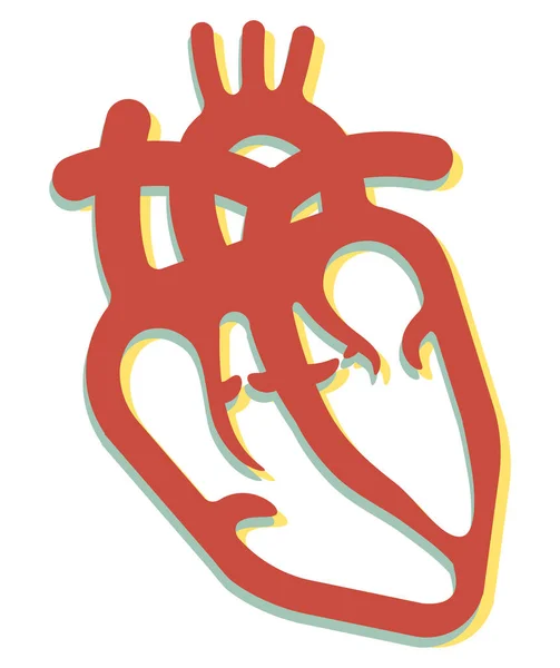 Menschliches Herz Mit Kammern Ikone Als Eps Datei — Stockvektor