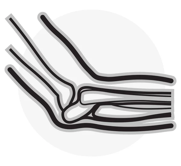 Elbow Bone Icon Como Archivo Eps — Archivo Imágenes Vectoriales