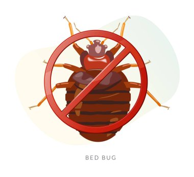 Bed Bugs - Cimex Tipi - EPS 10 Dosyası Olarak Stok Resmini Kaldır
