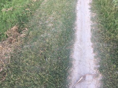 Alan arasındaki çamur yolu - Resmi JPG Dosyası Olarak Stokla