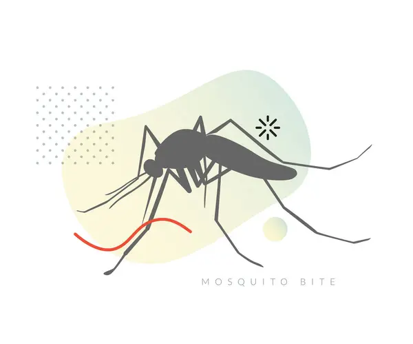 人間の皮膚に刺す蚊 Eps 10ファイルとしてのストックイラスト — ストックベクタ