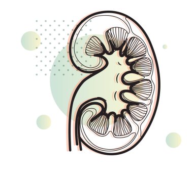 Covid-19 nedeniyle böbrek üzerinde etki - EPS 10 dosyası olarak simge