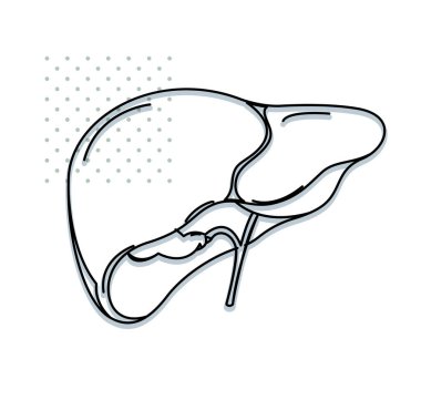 Sağlıklı Karaciğer - EPS 10 Dosyası Olarak Stok Simgesi