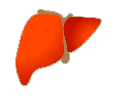 Düz Şekil Karaciğer Organı - ESP 10 Dosya Olarak Stok Simgesi