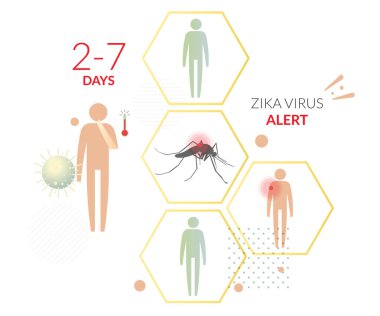Sivrisinek vektörü bourne Virüs - Zika Alarmı - EPS 10 Dosyası Olarak Stok Resimleri