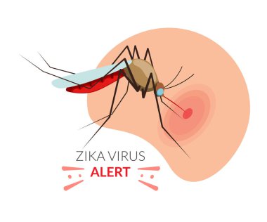 İnsan derisini ısıran sivrisinek - Zika Alarmı - EPS 10 Dosyası Olarak Stok İllüstrasyonu