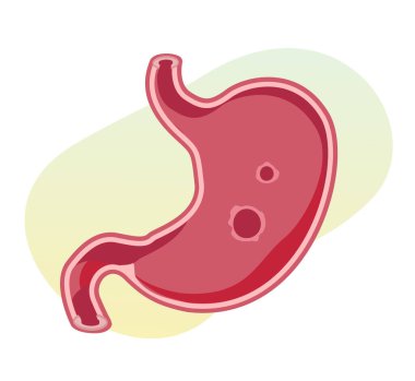 Peptic Ülcer - Mide Ache - EPS 10 Dosyası Görüntü