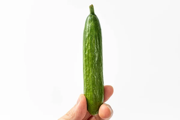 Snack Komkommer Een Witte Achtergrond — Stockfoto