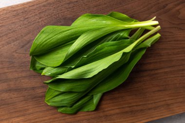 İyi dokulu Sibirya soğanı yiyen bitkiler.