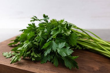 Flat-leaved, fragrant herb Italian parsley clipart