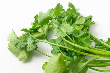 coriander on a white background clipart