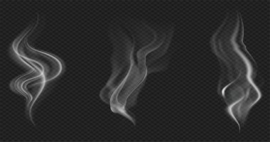Set of realistic transparent smoke or steam in white and gray colors, for use on dark background. Transparency only in vector format clipart