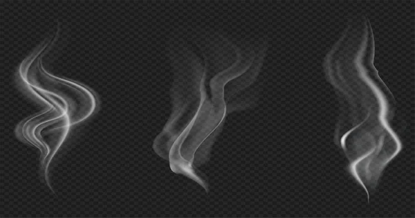 Ensemble Fumée Vapeur Transparente Réaliste Dans Des Couleurs Blanches Grises — Image vectorielle