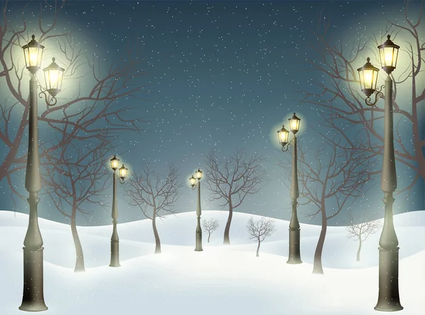 Wonderful Background Lampposts Trees Snow Vector Illustration — Stock Vector