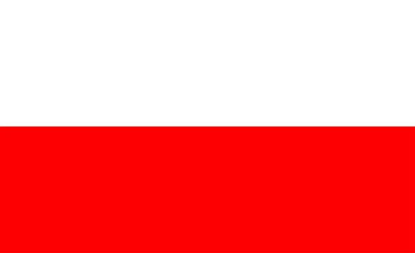 Polsk Flagg Vektor Illustration — Stock vektor