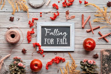 Tahtada sonbahar metnine kanmak, tebeşir tahtası. Turuncu Hokkaido kabağı, rowan üzümü, elma, tarçın. Eski ahşap üzerinde sonbahar dekoru. Düzlük, üst manzara, Sonbahar mevsimi arka planı sıcak doğal renklerle.