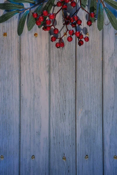Wintertime Rustic Background Decorative Rowan Berry Twigs Green Leaves Red — Stock Photo, Image