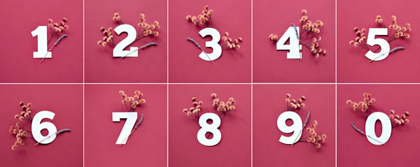 Zahlen Mit Trockenem Gras Lavendelblüten Zahlen Von Eins Bis Zehn — Stockfoto