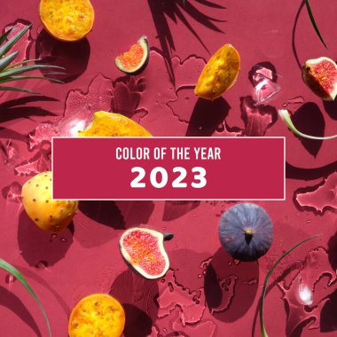 Yaşasın 2023 'ün Magenta rengi. Egzotik meyveler, sarı ve turuncu dikenli armutlar, kırmızı zemin üzerinde sağlıklı kaktüs meyveleri ve yaprak. Düz, üst görünüm, buzlu ıslak arkaplan.