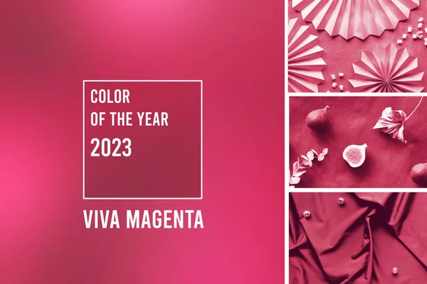 Viva Magenta Color Year 2023 Trendy Fashion Color Palette Abstract — Stock Photo, Image