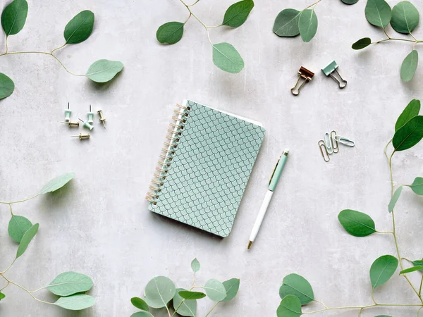 Mint Green Spiral Notebook Pen Office Stationary Eucalyptus Twigs Stone — Stockfoto