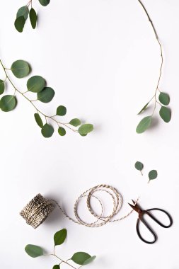 Beyaz arka planda okaliptüs dalları. Düz yatıyordu, tepeden bakıyordu. Çizgili beyaz ipli makas..