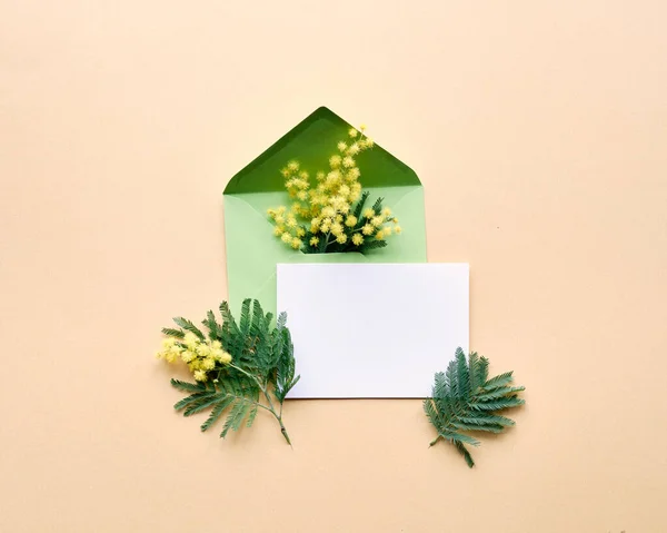 空白卡片 黄色背景的绿色信封中的油花 自然春天装饰 平面布局 顶视图 中央构图 — 图库照片