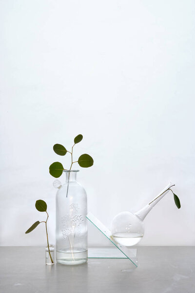 Abstract still life with eucalyptus twigs and glass vases and jars, muted colors, off white background