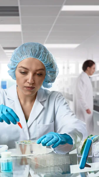Kaukázusi Női Tudós Biológus Biokémikus Kutató Laboratóriumban Gyógyszerészeti Vagy Akadémiai — Stock Fotó