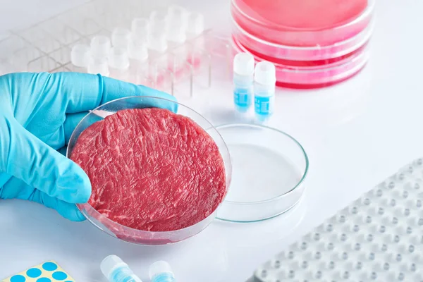 Mavi eldiven, içinde yapay et bulunan bir petri kabı tutuyor. Hücre kültürünü kullanarak et üretiyordu..