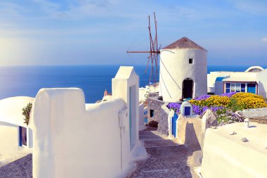 Geleneksel Oia yel değirmeni, Santorini, güneşli bir günde mavi gökyüzünün altında çiçeklerle.