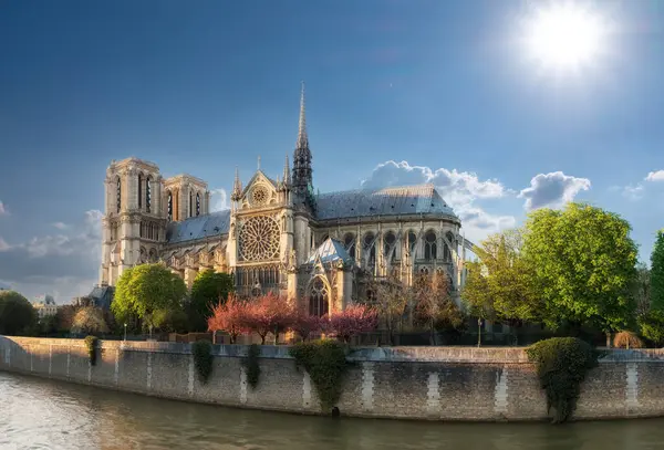 Notre Dame Parison Nel Tardo Pomeriggio Primavera Con Sakura — Foto Stock