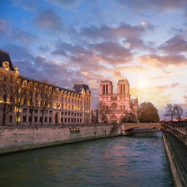 Notre Dame Paryżu Nad Brzegiem Rzeki Zachodzie Słońca Różowymi Fioletowymi — Zdjęcie stockowe