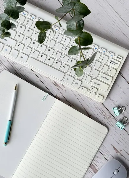 Photo Showing Standard Computer Keyboard Blank Notebook Wired Mouse Neatly — Stock Photo, Image