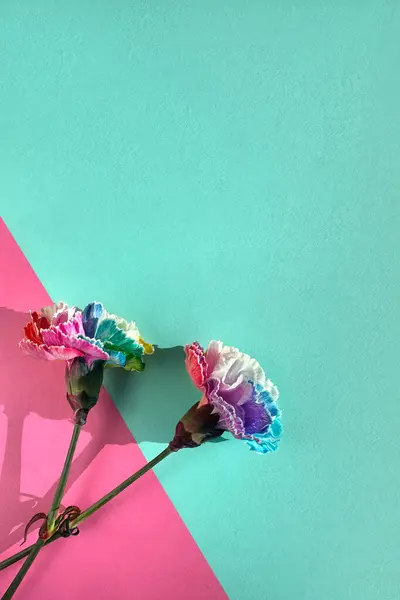 Ein Foto Zeigt Ein Paar Regenbogenfarbene Nelken Die Auf Einem — Stockfoto
