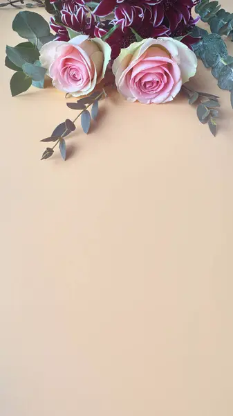 Бледно Розовый Эвкалипт Тонированный Абрикосовый Цветной Фон Пространством Копирования Простой — стоковое фото