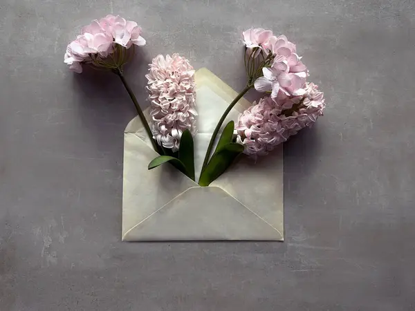 Three Blooming Pink Hyacinth Flowers Displayed Open Envelope Stock Photo