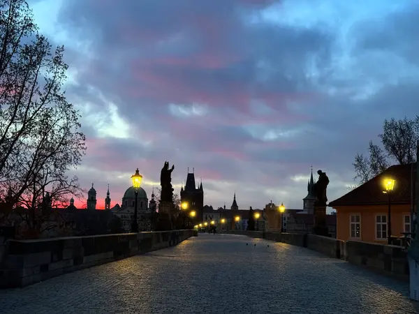 Prága Károly Hídja Hajnalban Rózsaszín Szürke Alatt Ragyogó Utcai Fények Jogdíjmentes Stock Fotók