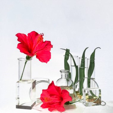 Cam şişeler, tabaklar, podyumlar ve kırmızı amber çiçekleri ve beyaz arka planda eğreltiotu yapraklarıyla dolu test tüpleri.