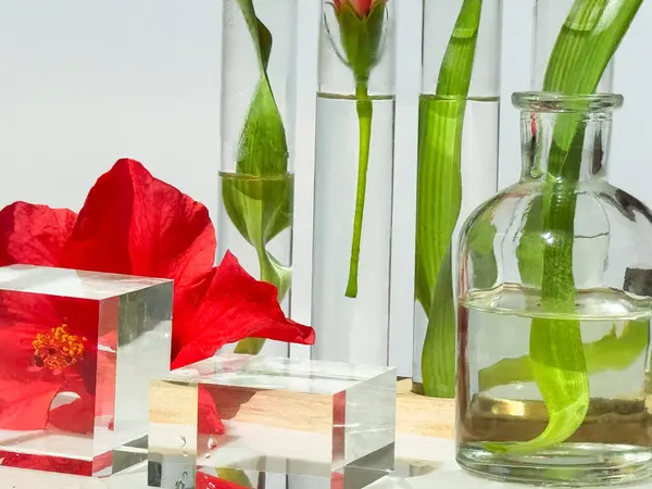 Három Üvegpalack Edény Dobogó Kémcső Piros Hibiszkusz Virággal Páfránylevéllel Asztalon Stock Kép